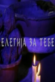 An Elegy for You 2007 on netflix