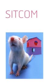 Sitcom 1998 on netflix