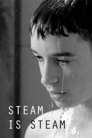 Steam is Steam 2011 on netflix