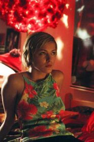 Tylko jedna noc 2004 on netflix