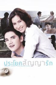 Present Perfect Continuous Tense 2013 on netflix