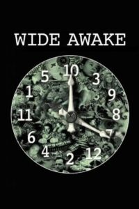 Wide Awake 2006 on netflix