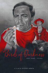 Birds of Darkness 1995 on netflix