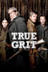 True Grit 2010 on netflix