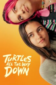Turtles All the Way Down 2024 on netflix