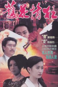 Love Quadrangle 1993 on netflix