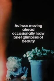 As I Was Moving Ahead, Occasionally I Saw Brief Glimpses of Beauty 2000 on netflix