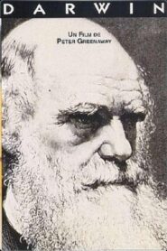 Darwin 1992 on netflix