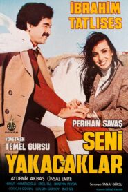 Seni Yakacaklar 1981 on netflix