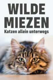 Wilde Miezen – Katzen allein unterwegs 2017 on netflix