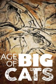 Age of Big Cats 2018 on netflix