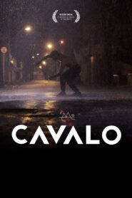 Cavalo 2020 on netflix