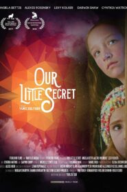 The Secret 2017 on netflix