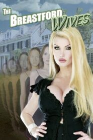 The Breastford Wives 2007 on netflix