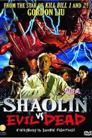 Shaolin vs. Evil Dead 2004 on netflix
