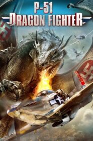 P-51 Dragon Fighter 2014 on netflix