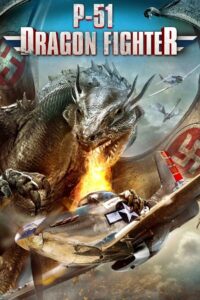P-51 Dragon Fighter 2014 on netflix
