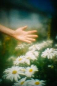 Camera Obscura 2000 on netflix