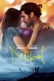 Delibal 2015 on netflix
