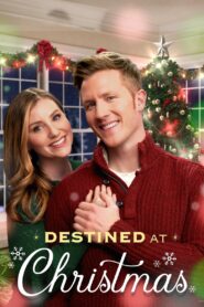 Destined at Christmas 2022 on netflix