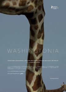 Washingtonia 2014 on netflix