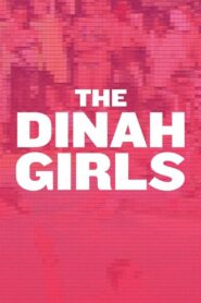 The Dinah Girls 2011 on netflix