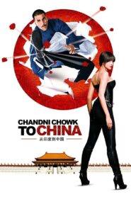 Chandni Chowk to China 2009 on netflix