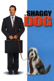 The Shaggy Dog 2006 on netflix