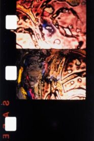 Chutes de Gaël 1984 on netflix