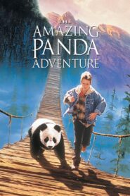 The Amazing Panda Adventure 1995 on netflix