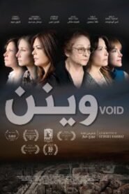 Void 2013 on netflix