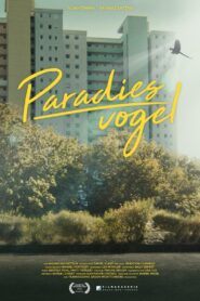 Bird of Paradise 2021 on netflix