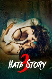 Hate Story 3 2015 on netflix