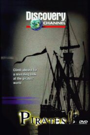 Pirates 1998 on netflix