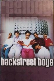 Backstreet Boys: For the Fans 2001 on netflix