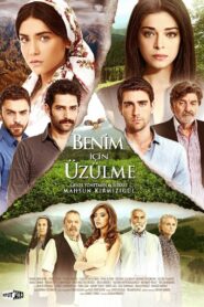 Benim İçin Üzülme 2012 on netflix