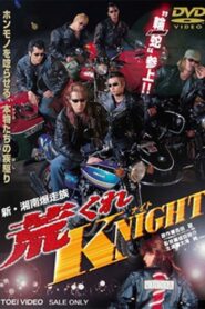 New Shonan Bombing Tribe: Rough KNIGHT 1998 on netflix