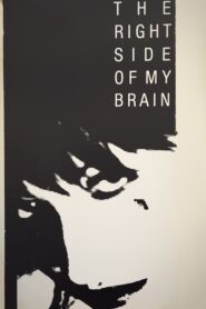 The Right Side of My Brain 1984 on netflix