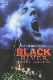 Black River 2001 on netflix