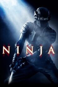 Ninja 2009 on netflix