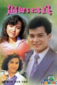 逼娼為良 1989 on netflix
