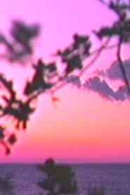 Voyage to the Center of the Phone Lines 1993 on netflix