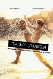Puzzled Love 2010 on netflix