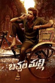 Bachhala Malli 2024 on netflix