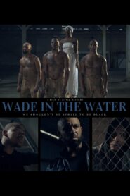 Wade in the Water 2020 on netflix