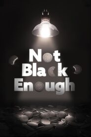 Not Black Enough 2017 on netflix