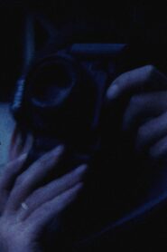 49/95: thousandyearsofcinema 1995 on netflix