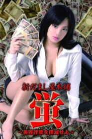 New Hotaru The Hyper Swindler 3 2006 on netflix