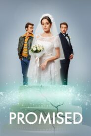 Promised 2019 on netflix