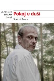 Soul at Peace 2009 on netflix